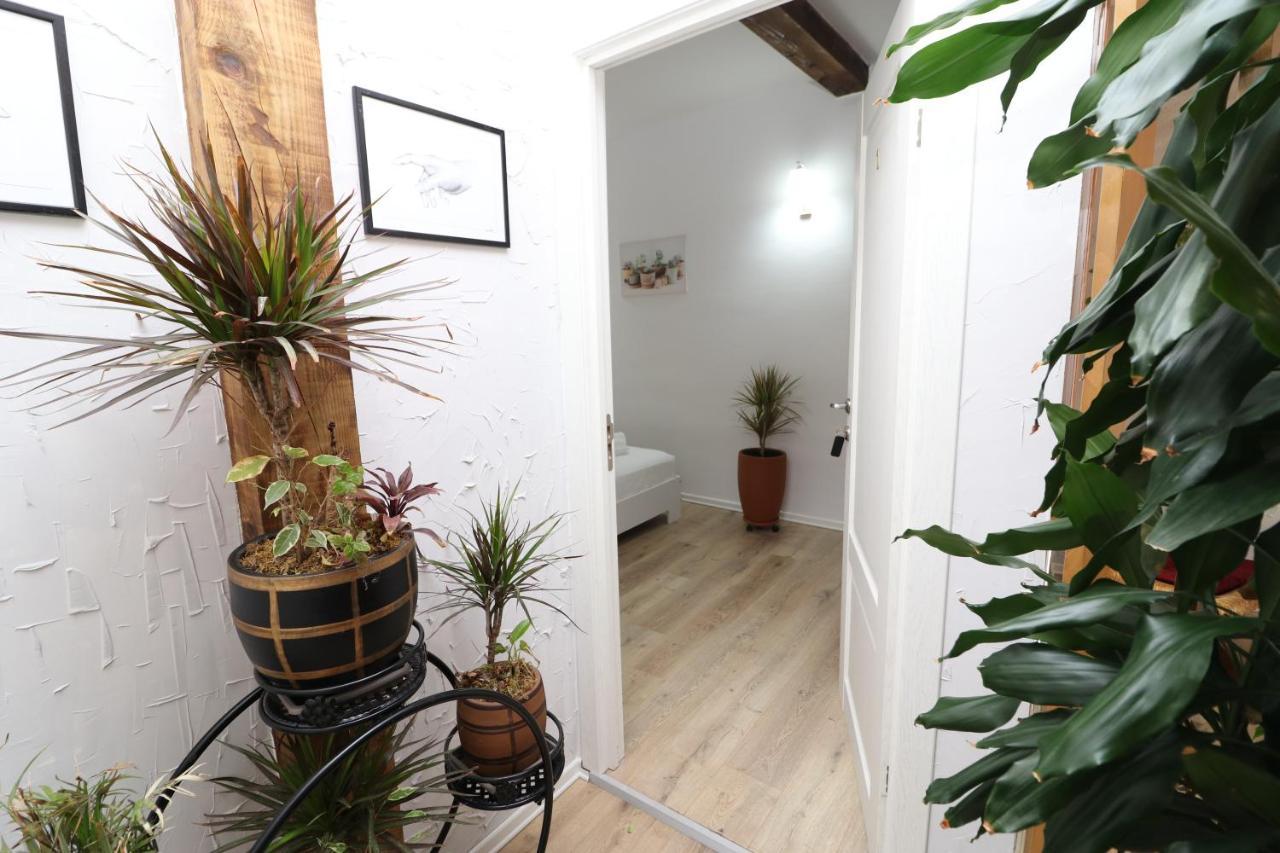 Gaia Bed & Breakfast Vlore Ngoại thất bức ảnh